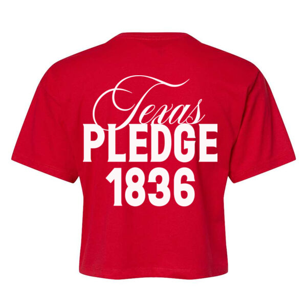 ALAMO - PREMIUM WOMEN'S CROPPED T-SHIRT - $8T56Y1$ Thumbnail